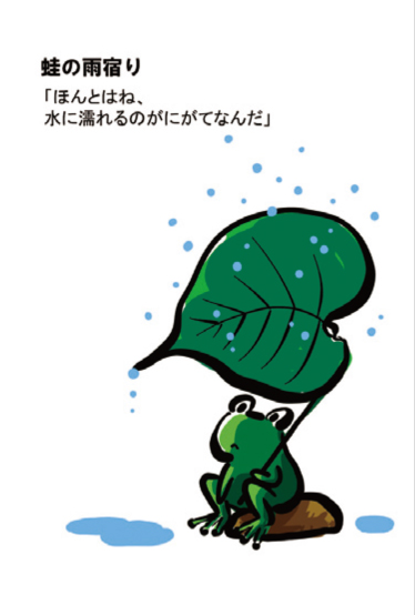蛙の雨宿り
