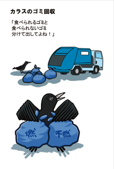 カラスのごみ回収